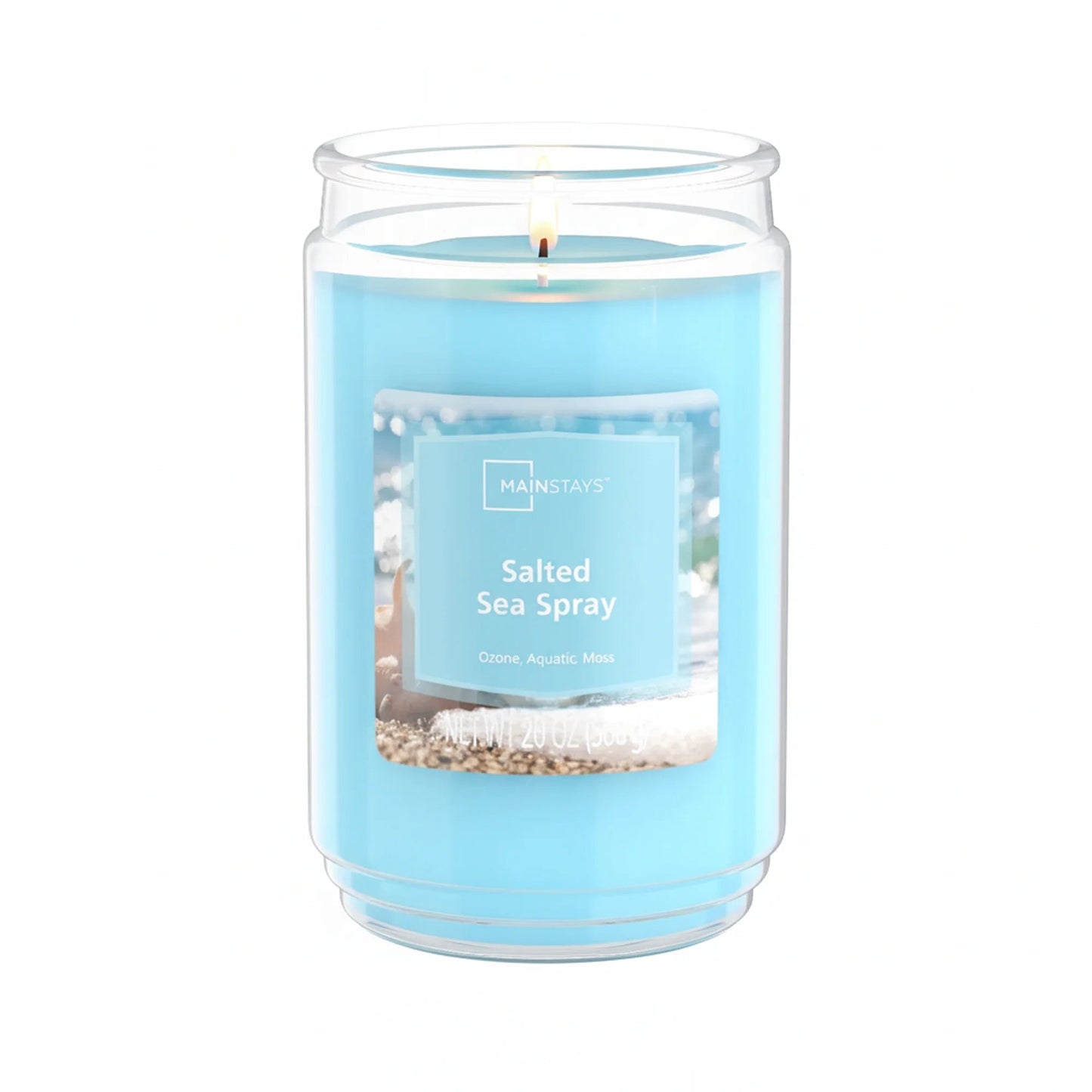 Salted Sea Spray Scented Candle – Coastal Ocean Breeze Glass Jar Candle 20oz